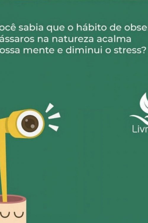 Casinha Rústica Livre Birds E1 Para Pássaros Livres