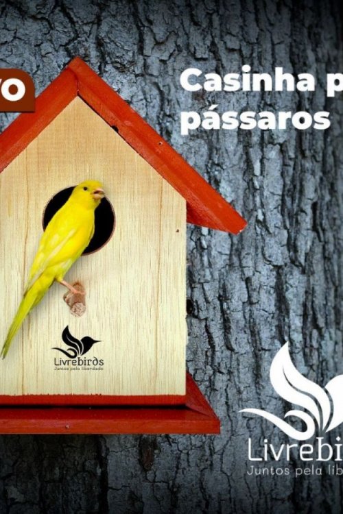 Casinha Rústica Livre Birds E1 Para Pássaros Livres