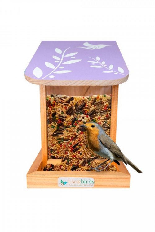 Alimentador Automático Livre Birds IS452 Linha Colors