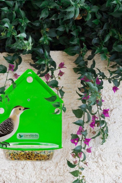 Alimentador Livre Birds Mosaic Colours  JOS148