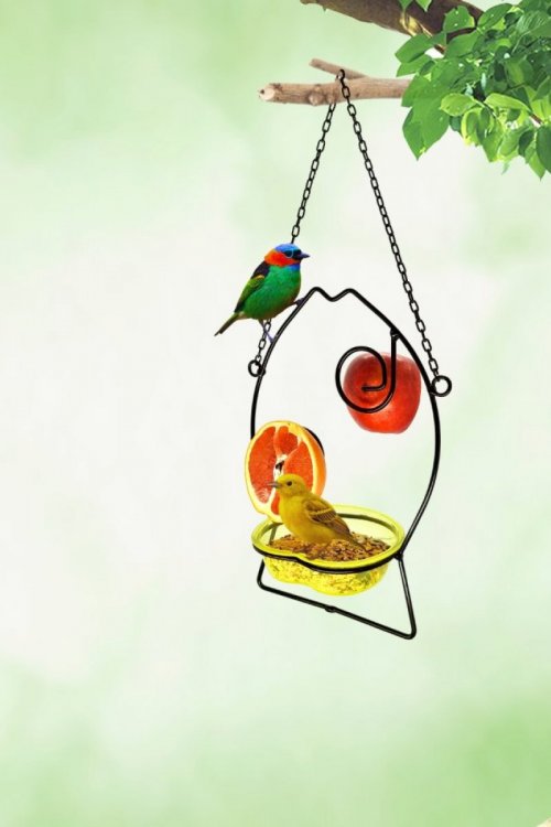 Alimentador Livre Birds Wire Fish LC1113