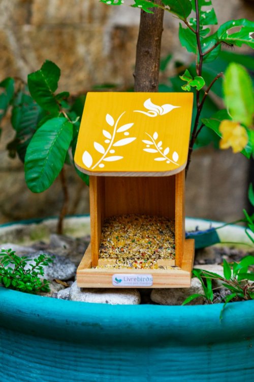 Alimentador Automático Livre Birds IS452 Linha Colors