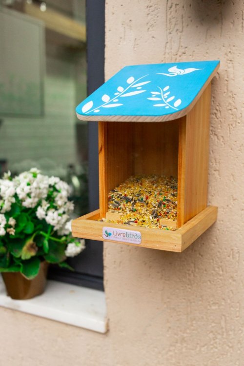 Alimentador Automático Livre Birds IS452 Linha Colors