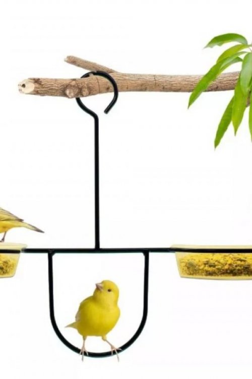 Alimentador Livre Birds Wire Balance LC418