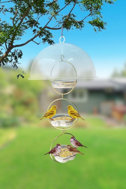 Alimentador Livre Birds Wire Domo Bubbles LC638 - Branco