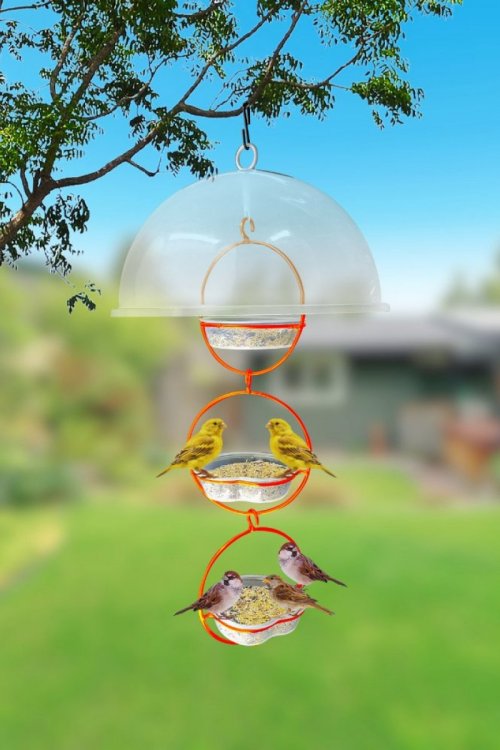 Alimentador Livre Birds Wire Domo Bubbles LC638 - Branco