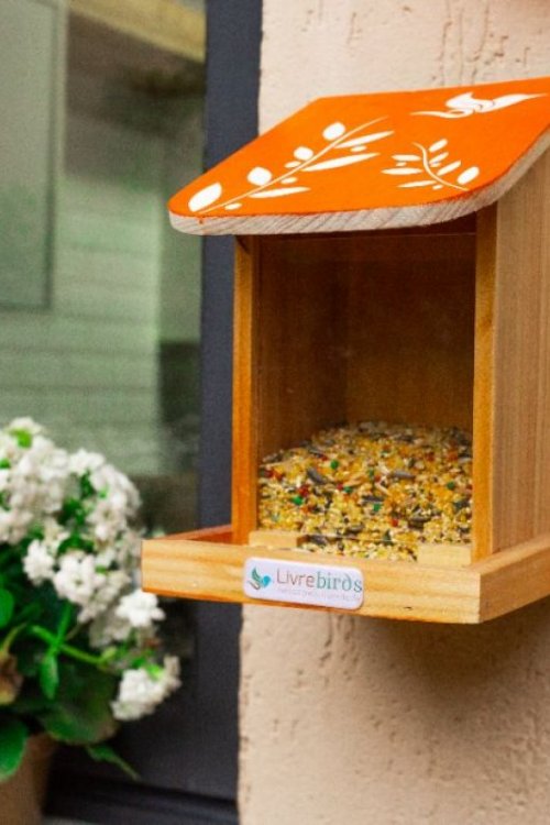 Alimentador Automático Livre Birds IS452 Linha Colors