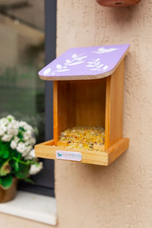 Alimentador Automático Livre Birds IS452 Linha Colors