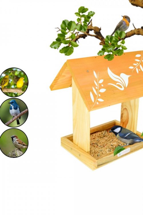 Alimentador Livre Birds Colors Basic DT2801