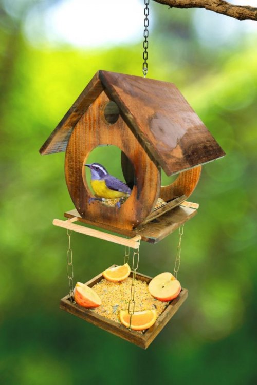 Alimentador Livre Birds Rustic Wood Duplex 1COR1310