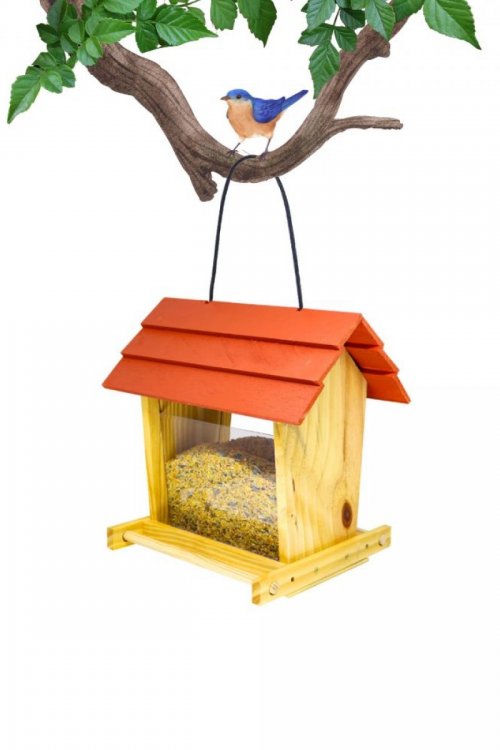 Alimentador Livre Birds Sweet Place GN222