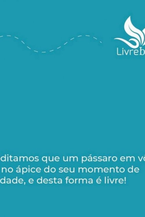 Casinha Livre Birds P2 para Pássaros Livres