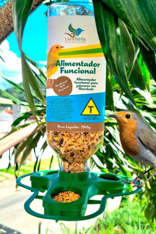 Alimentador Funcional Livre Birds Com Sementes