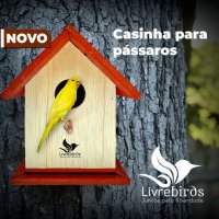 Casinha Rústica Livre Birds E1 Para Pássaros Livres