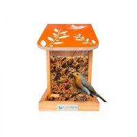 Alimentador Automático Livre Birds IS452 Linha Colors