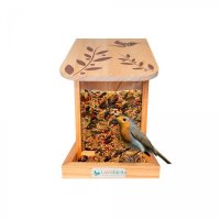 Alimentador Automático Livre Birds IS452 Linha Colors