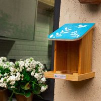 Alimentador Automático Livre Birds IS452 Linha Colors