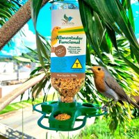 Alimentador Funcional Livre Birds Com Sementes