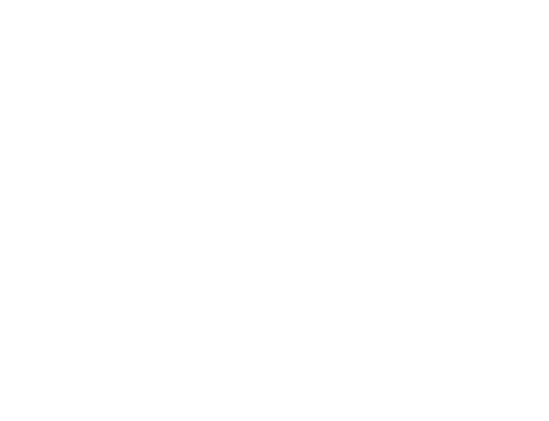 Livre Birds